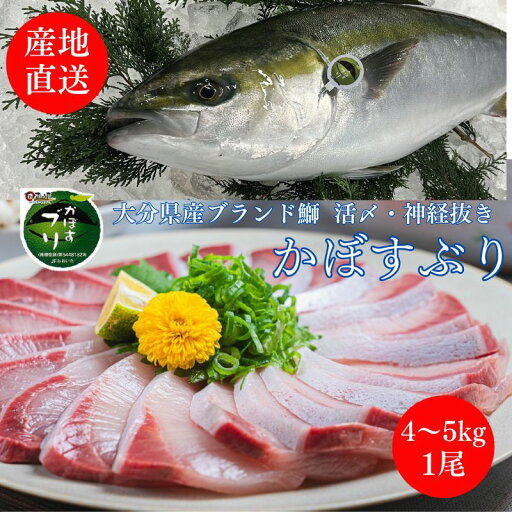 大分県産 カボスブリ 1本物 4〜5KG 三枚おろし 加工します 送料無料 冬季限定商品 お刺身 りゅうきゅう ぶり丼 鰤しゃぶ 鰤大根 ブランドブリ おススメ 人気商品 活〆 神経締め 神経抜き 業務用 おんせん県 ギフト かぼすブリ かぼすぶり 1尾 ラウンド ドレス フィーレ 大分県産 カボスブリ 1本物 4〜5KG 三枚おろし 加工します 送料無料 冬季限定商品 お刺身 りゅうきゅう ぶり丼 鰤しゃぶ 鰤大根 ブランドブリ おススメ 人気商品 活〆 神経締め 神経抜き 業務用 おんせん県 ギフト かぼすブリ かぼすぶり 1尾 ラウンド ドレス フィーレ