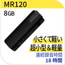 BESETO ベセトジャパン 超小型高感度ボイスレコーダー 高音質MP3形式サウンドレコーダー 日付記録可能 メタルクリップ付 ばれないボイスレコーダー 薄型 ...