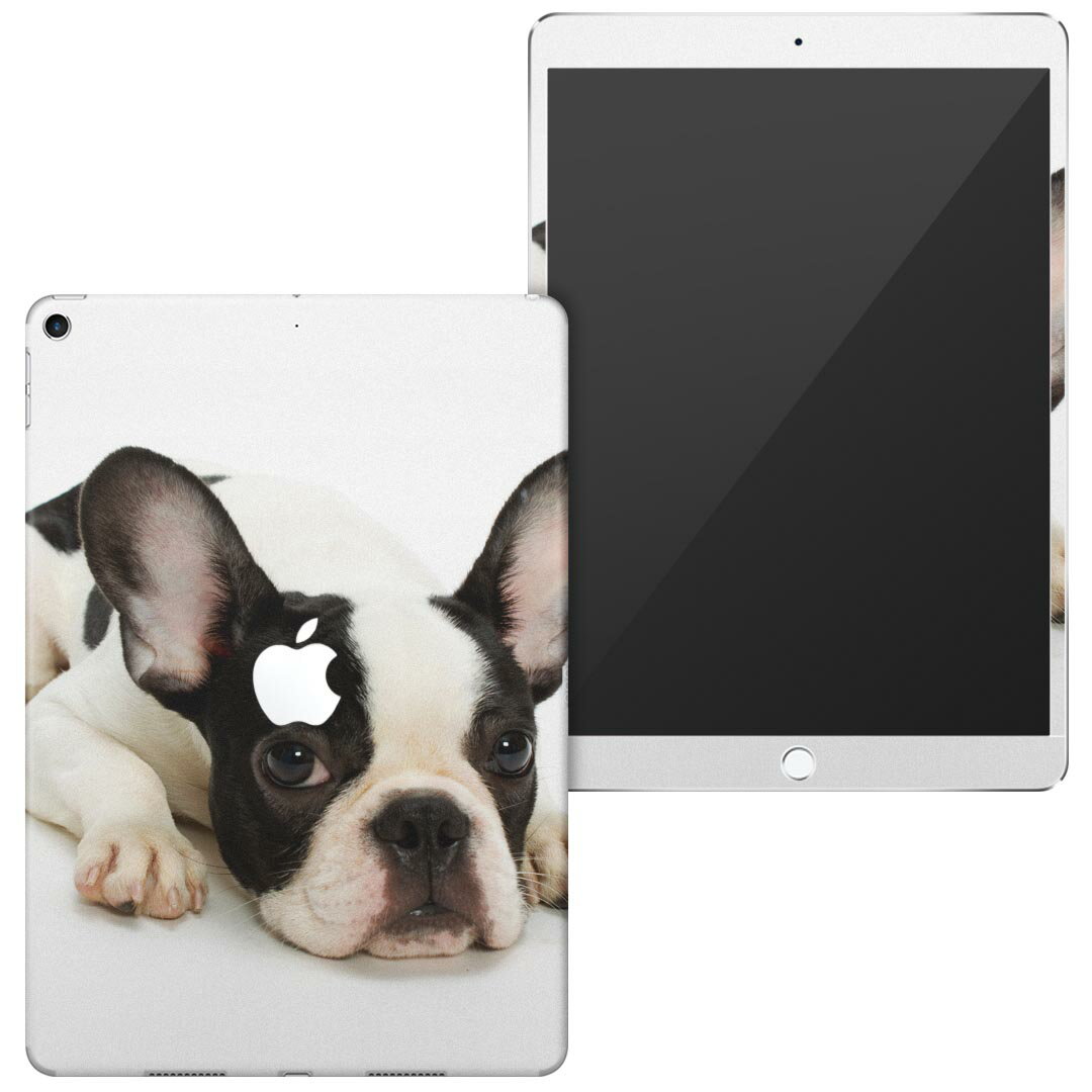 igsticker iPad Air 10.5 inch C` p apple Abv ACpbh 2019 3 A2123 A2152 A2153 A2154 SʃXLV[ t w t ^ubgP[X XebJ[ ^ubg یV[ lC 000889 @t`uhbN