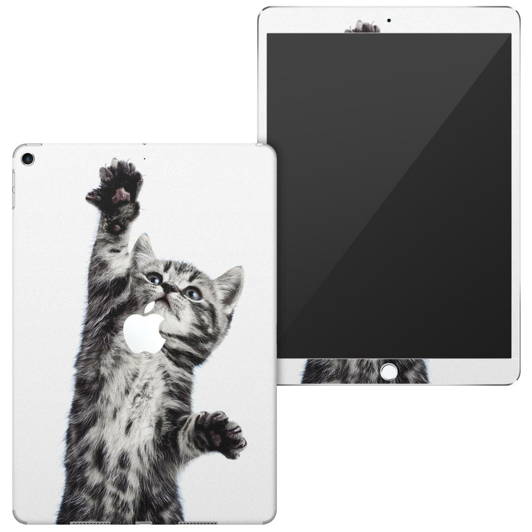 igsticker iPad Air 10.5 inch インチ 専用 apple アップル アイパッド 2019 第3世代 A2123 A2152 A2153 A2154 全面スキンシール フル 背面 液晶 タブレットケース ステッカー タブレット 保護シール 人気 001200 ネコ　動物