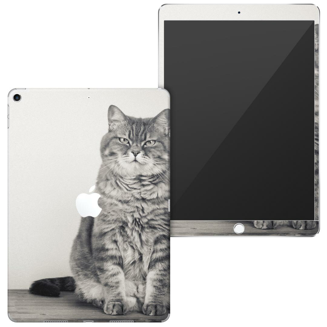 igsticker iPad Air 10.5 inch インチ 専用 apple アップル アイパッド 2019 第3世代 A2123 A2152 A2153 A2154 全面スキンシール フル 背面 液晶 タブレットケース ステッカー タブレット 保護シール 人気 002901 猫　動物　写真