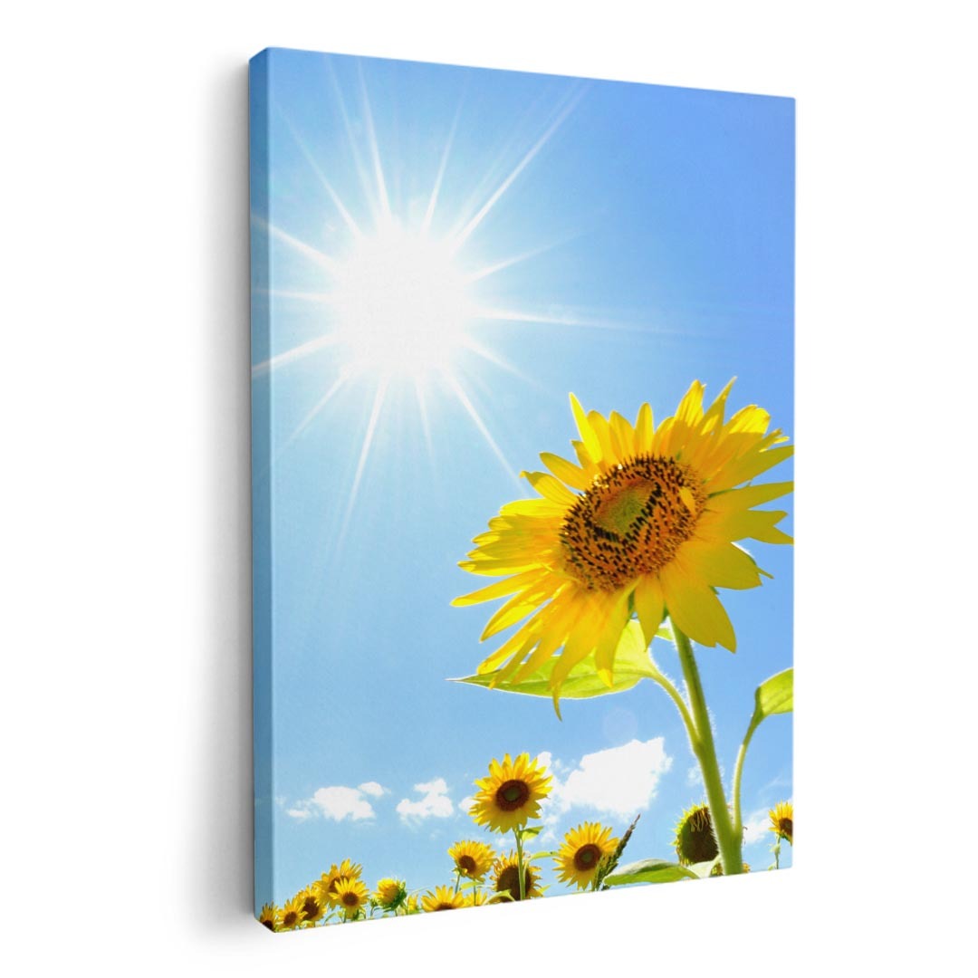 樂天商城 - アートパネル 絵 絵画 飾り 選べるサイズ A1 A2 A3 A4 A5 六つ切り　正方形33 正方形45 モダン 玄関 写真 フォト インテリア おしゃれ ひまわり　写真　太陽　005089