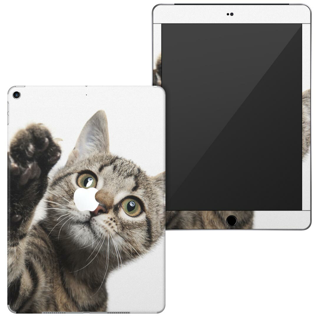 igsticker iPad6 第6世代 2018 専用 apple アップル アイパッド A1893 A1954 全面スキンシール フル 背面 液晶 タブレットケース ステッカー タブレット 保護シール 人気 002674 猫　動物　写真