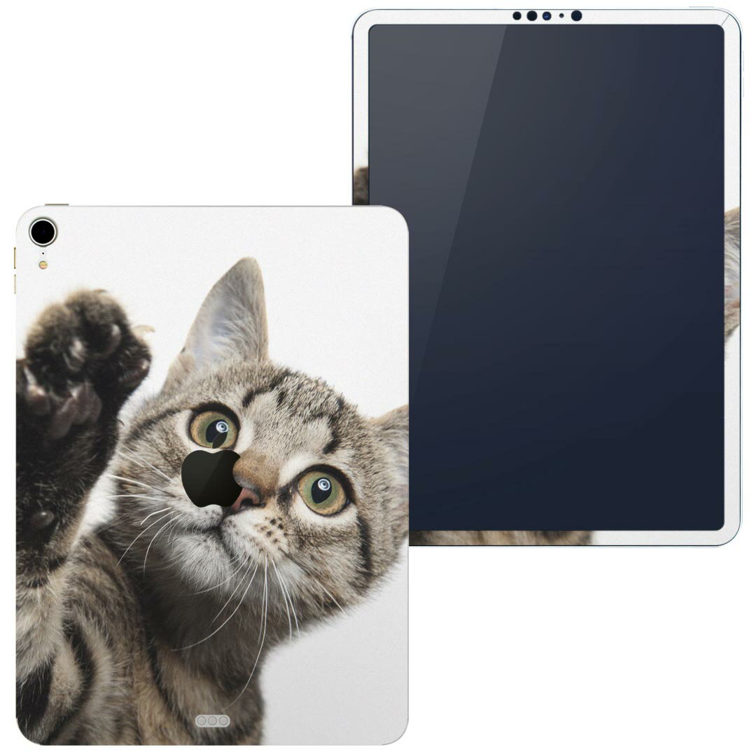 igsticker iPad Pro 12.9 inch インチ 専用 apple アップル アイパッド 2018 第3世代 A1876 A1895 A1983 A2014 全面スキンシール フル 背面 液晶 タブレットケース ステッカー タブレット 保護シール 人気 002674 猫　動物　写真