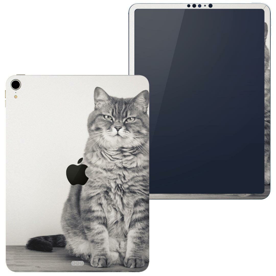 igsticker iPad Pro 12.9 inch インチ 専用 apple アップル アイパッド 2018 第3世代 A1876 A1895 A1983 A2014 全面スキンシール フル 背面 液晶 タブレットケース ステッカー タブレット 保護シール 人気 002901 猫　動物　写真
