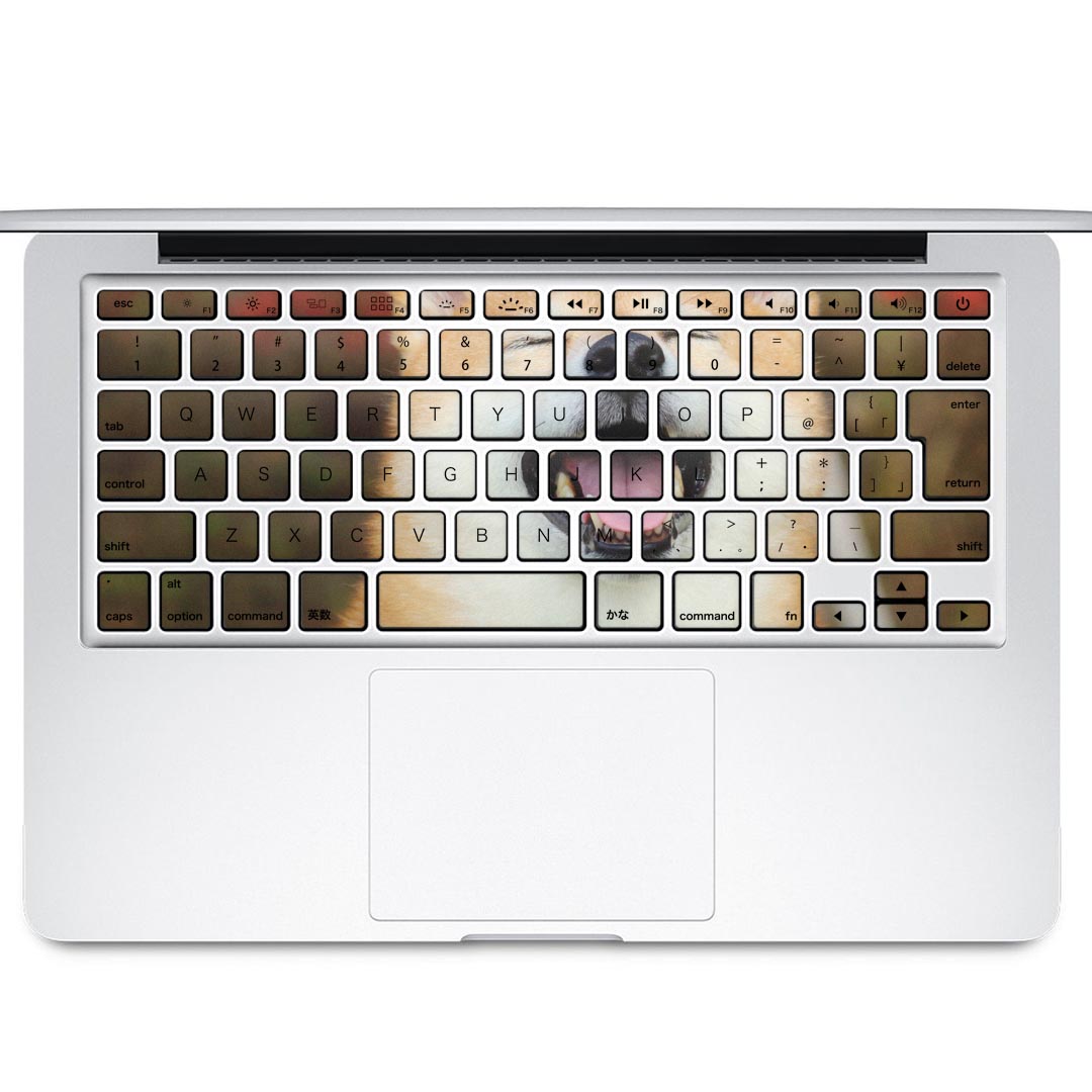 ܡѥ󥷡 MacBook Air 13inch 2010  2017  ȥå ƥå A1466 A1369 Apple ޥå֥å  Ρȥѥ ꡼ ݸ 015611 襤Ƹ