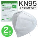 即納 在庫あり KN95 N95 マスク 2枚入り 5層構造 不織布 男女兼用 大人用 花粉症対策 PM2.5 飛沫感染対策 風邪 咳 くしゃみ 黄砂 ハウスダ...