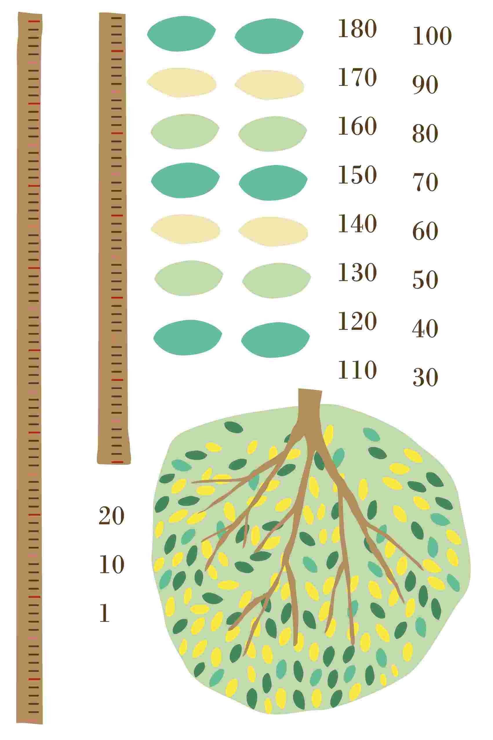 ウォールステッカー 身長計 メモ付き 記念 目盛り 木 葉っぱ 北欧 90×60cm シール式 装飾 おしゃれ 壁紙 はがせる 剥がせる カッティングシート wall sticker 雑貨 DIY プチリフォーム