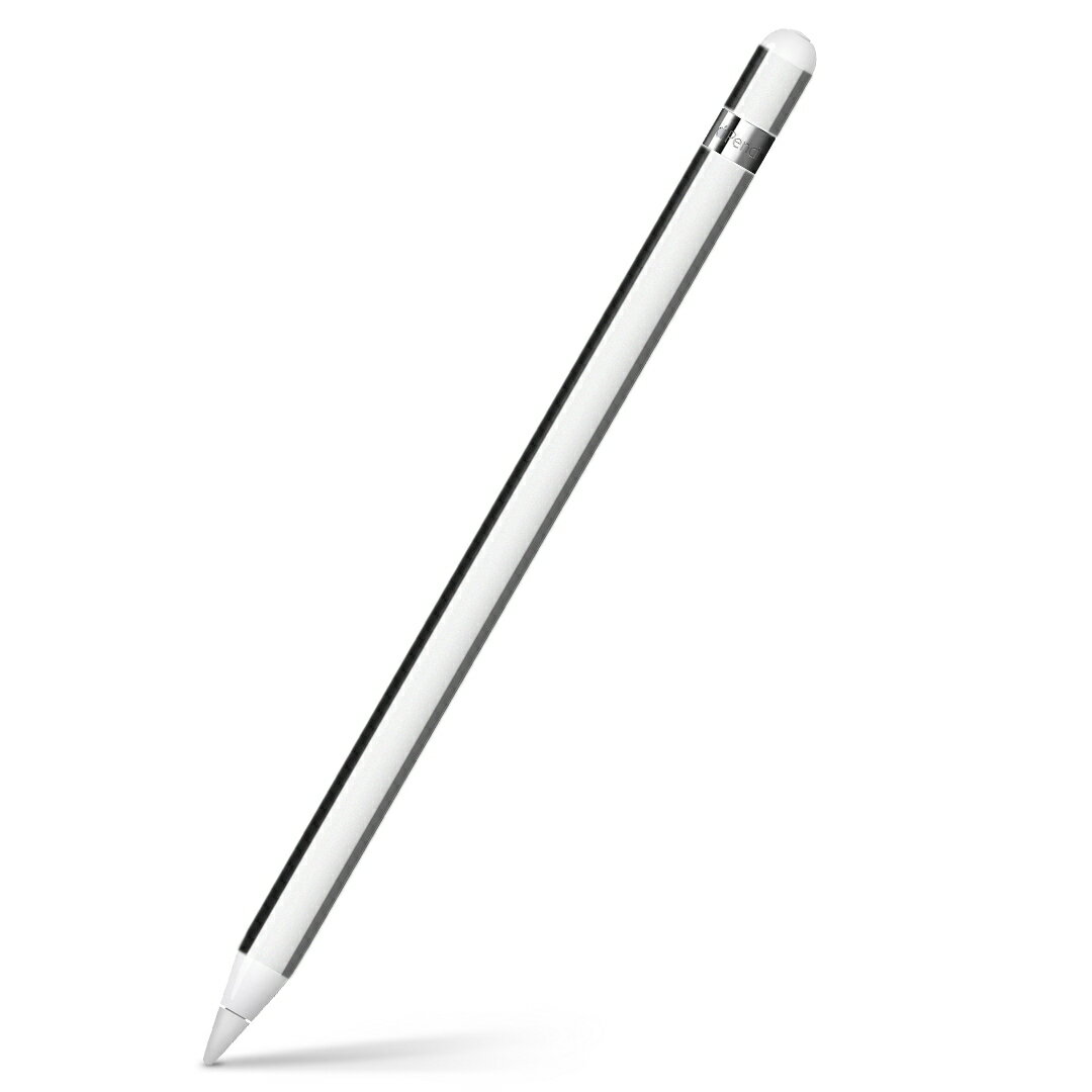 Apple Pencil 専用スキンシール アップル アップルペンシル iPad Pro ApplePen カバー ケース フィルム ステッカー アクセサリー 保護 igstore 009114 シンプル　ボーダー　カラフル
