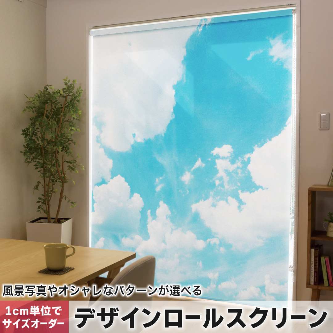 1cm単位サイズオーダー ロールスクリーン ロールカーテン オーダーメイド タチカワ 日本製 間仕切り カーテン 採光 非遮光 目隠し UVカット カーテンレール チェーン式 プル式 空　写真　景色 003474