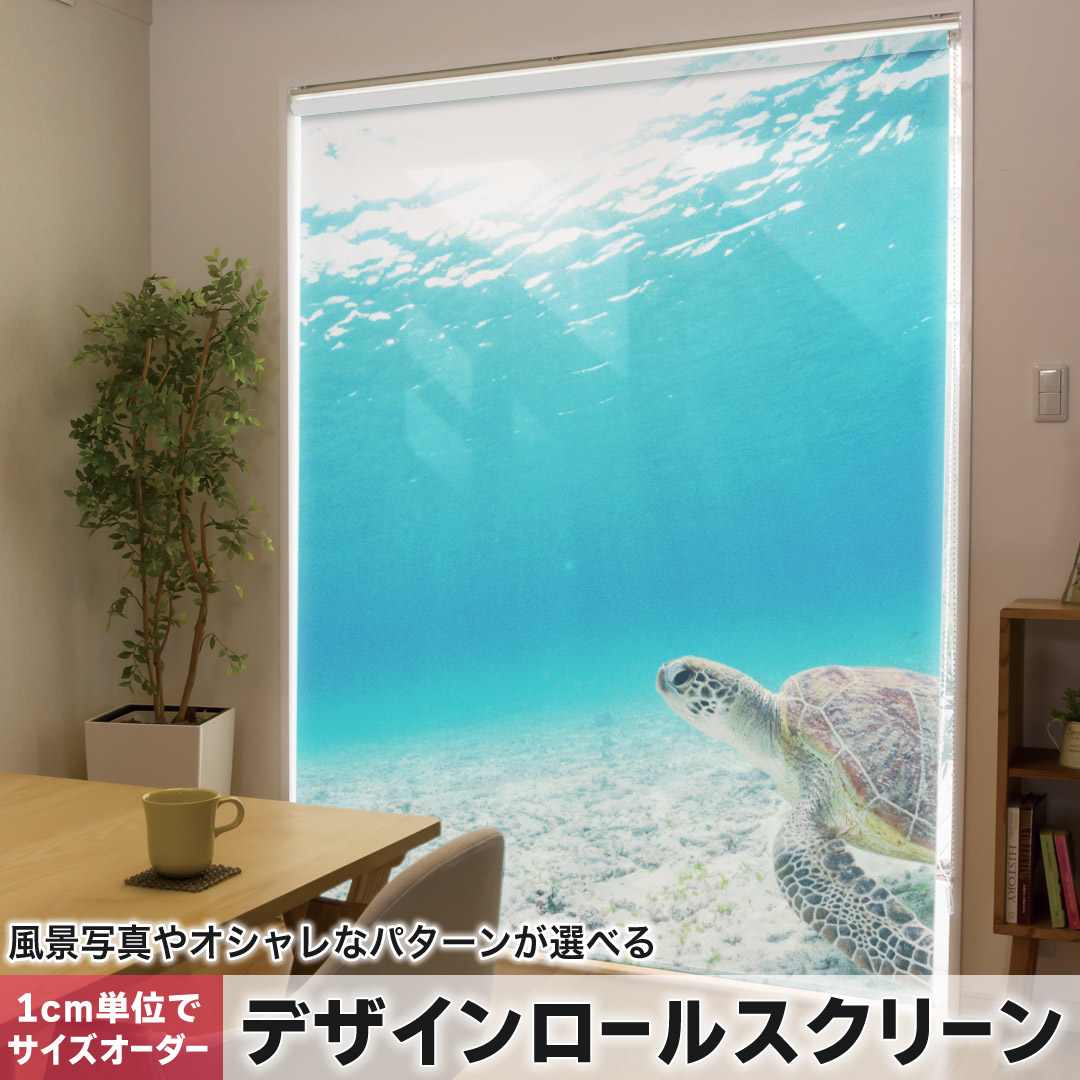 樂天商城 - 1cm単位サイズオーダー ロールスクリーン ロールカーテン オーダーメイド タチカワ 日本製 間仕切り カーテン 採光 非遮光 目隠し UVカット カーテンレール チェーン式 プル式 ウミガメ　海　写真 004605