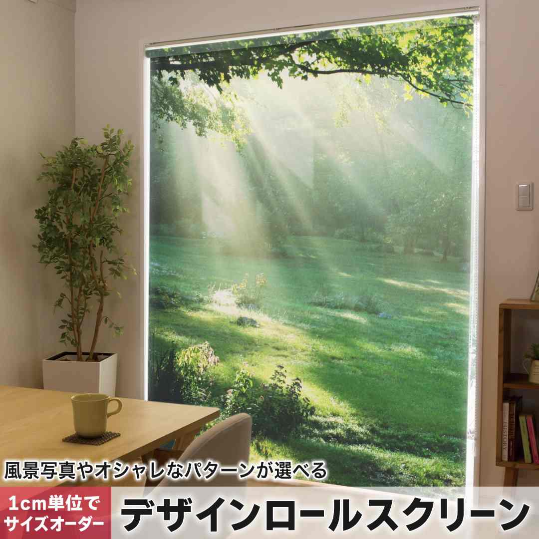1cm単位サイズオーダー ロールスクリーン ロールカーテン オーダーメイド タチカワ 日本製 間仕切り カーテン 採光 非遮光 目隠し UVカット カーテンレール チェーン式 プル式 森　写真　景色 004644