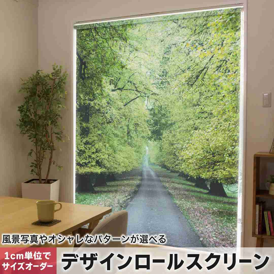 1cm単位サイズオーダー ロールスクリーン ロールカーテン オーダーメイド タチカワ 日本製 間仕切り カーテン 採光 非遮光 目隠し UVカット カーテンレール チェーン式 プル式 写真　並木道 005917