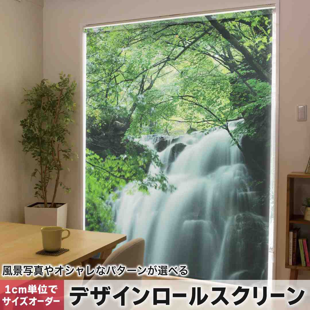 1cm単位サイズオーダー ロールスクリーン ロールカーテン オーダーメイド タチカワ 日本製 間仕切り カーテン 採光 非遮光 目隠し UVカット カーテンレール チェーン式 プル式 写真　川　森 008874