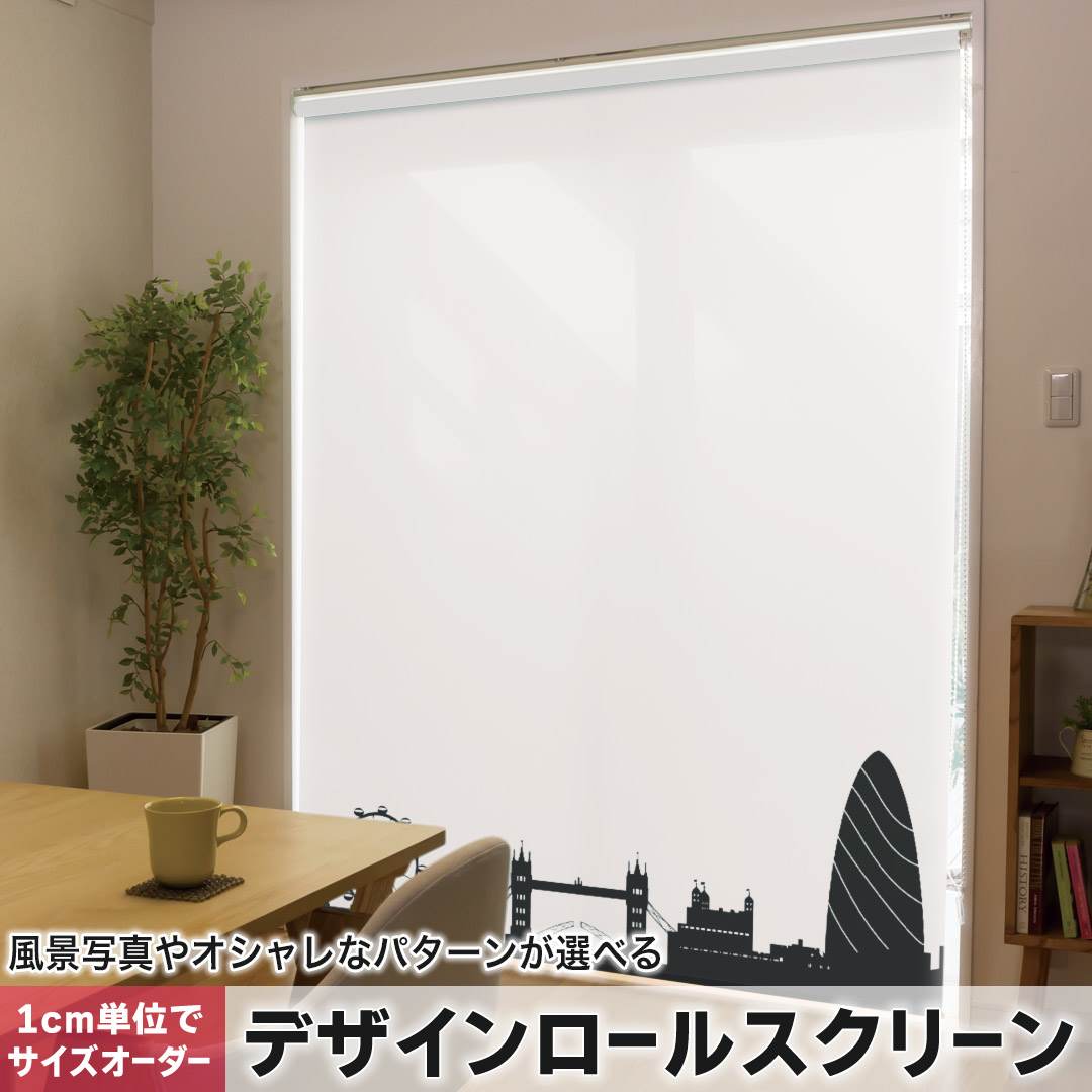 1cm単位サイズオーダー ロールスクリーン ロールカーテン オーダーメイド タチカワ 日本製 間仕切り カーテン 採光 非遮光 目隠し UVカット カーテンレール チェーン式 プル式 風景　景色　モノクロ 009416