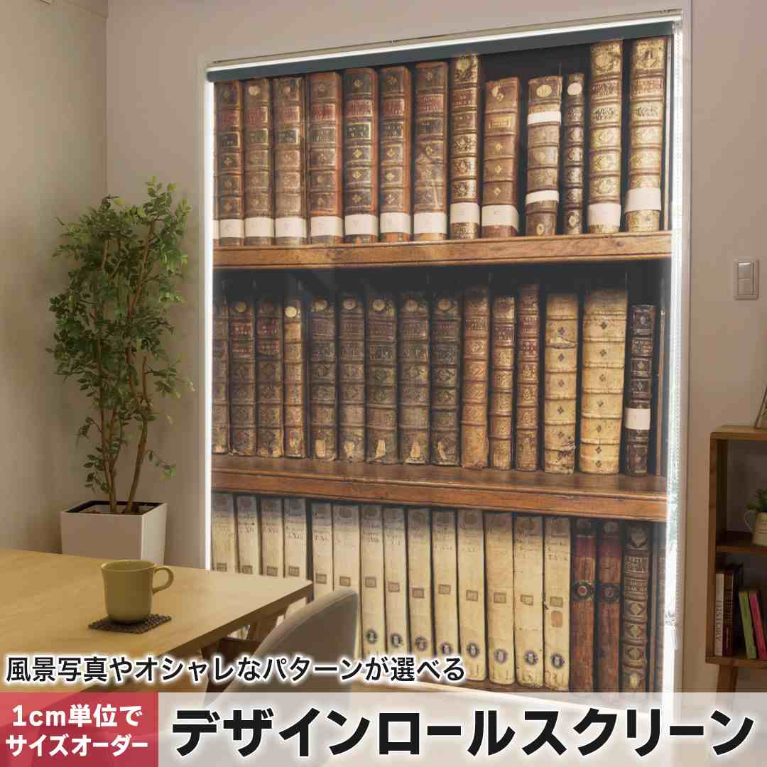 1cm単位サイズオーダー ロールスクリーン ロールカーテン オーダーメイド タチカワ 日本製 間仕切り カーテン 採光 非遮光 目隠し UVカット カーテンレール チェーン式 プル式 本棚　レトロ　写真 010025