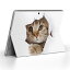 Surface Go 3 / Surface Go 2 Surface Go 全世代対応 用スキンシール サーフェス go igsticker シール ..