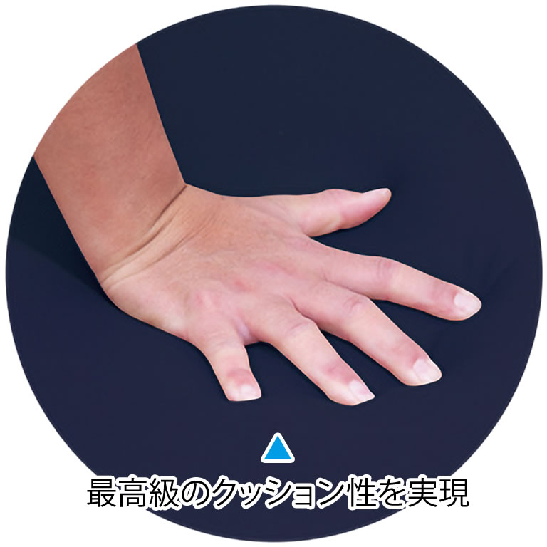 【ポイント6倍】高田ベッド 無孔電動クラウンハイロー 電動昇降ベッド 高密度・高...