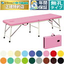 【ポイント6倍】高田ベッド 無孔粉体ムーブDX 折りたたみベッド 整体ベッド 整体ベッド折りたたみ エステベッド折りたたみ マッサージベッド ポータブルベッド ...