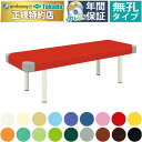 【ポイント6倍】高田ベッド 無孔三角縫製DXベッド マッサージベッド 整体ベッド 内脚脚部 診察台 エステベッド 施術台 施術ベッド 治療ベッド 国産 TB-1099