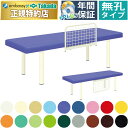 【ポイント6倍】高田ベッド 無孔N型DXベッド マッサージベッド 整体ベッド 整体 マッサージ エステ 施術用 施術 医療用 治療用 リラクゼーション アロマ 診察台 施術台 診察ベッド 医療ベッド 治療ベッド 国産 TB-1127(3)