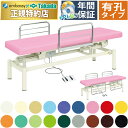 【ポイント6倍】高田ベッド 有孔電動ハウス 電動マッサージベッド ガード付き 電動昇降式 電動施術台 電動昇降台 電動診察台 電動整体ベッド 電動エステベッド 施術用ベッド マッサージベッド 治療ベッド 国産 TB-1146U