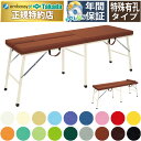 【ポイント6倍】高田ベッド アクチムーブ 折りたたみベッド 整体ベッド 整体ベッド折りたたみ エステベッド折りたたみ マッサージベッド 折りたたみ ポータブルベッド 施術台 携帯 持ち運び 国産 TB-1306