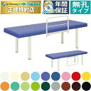 【ポイント6倍】高田ベッド 無孔粉体F型DXベッド マッサージベッド 整体ベッド 転落防止 ガードつき 診察台 施術台 施術ベッド 治療用ベッド 医療用ベッド 治療ベッド 診察ベッド 検査台 検診台 介護ベッド 国産 TB-145