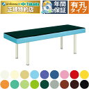 【ポイント6倍】高田ベッド 有孔DXトップ マッサージベッド 整体ベッド 滑りとめレザー 内脚脚部 診察台 エステベッド 施術台 施術ベッド 治療ベッド 国産 TB-153U