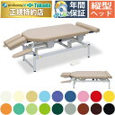 【ポイント6倍】高田ベッド スリム式電動リモス 電動マッサージベッド 整体ベッド カイロベッド カイロプラクティック うつ伏せ アプローチ 治療用 施術用 施術台 整骨院 マッサージ台 手置き台付き 国産 TB-1640
