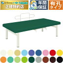 【ポイント6倍】高田ベッド有孔R型オーダス マッサージベッド 幅広 ワイド 整体ベッド 整体 マッサージ エステ 施術用 施術 医療用 治療用 診察台 施術台 医療ベッド 治療ベッド 国産 TB-250U