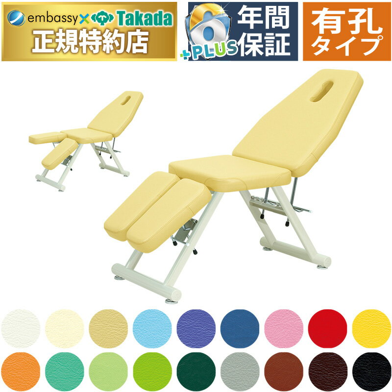 【ポイント6倍】高田ベッド 有孔アーニー マッサージベッド 整体ベッド 施術台 診察台 施術用ベッド 診..