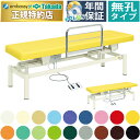 【ポイント6倍】高田ベッド 無孔クラリス 電動マッサージベッド ガード付き 電動昇降式 電動施術台 電動昇降台 電動診察台 電動整体ベッド 電動エステベッド 施術用ベッド マッサージベッド 治療ベッド 国産 TB-454