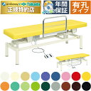 【ポイント6倍】高田ベッド 有孔クラリス 電動マッサージベッド ガード付き 電動昇降式 電動施術台 電動昇降台 電動診察台 電動整体ベッド 電動エステベッド 施術用ベッド マッサージベッド 治療ベッド 国産 TB-454U
