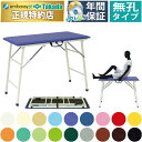 【ポイント6倍】高田ベッド テーピングテーブル 折りたたみベッド 治療用 診察用 テーピング用 折りたたみ ポータブル 携帯 持ち運び ベット 台 診察台 テー...