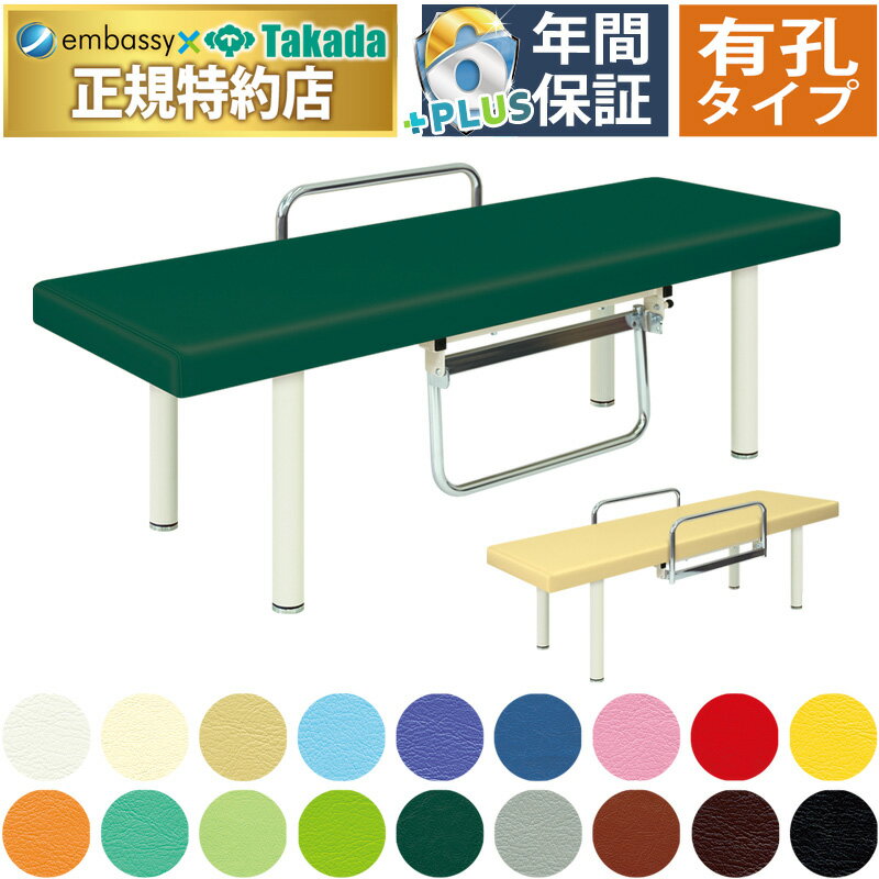 【ポイント6倍】高田ベッド 有孔スイング型DXベッド マッサージベッド 整体ベッド 転落防止 ガードつき 診察台 施術台 施術ベッド 治療用ベッド 医療用ベッド 治療ベッド 診察ベッド 検査台 検診台 介護ベッド 国産 TB-568U