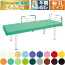 【ポイント6倍】高田ベッド 有孔4面F型DXベッド マッサージベッド 整体ベッド 転落防止 ガードつき 診察台 施術台 施術ベッド 治療用ベッド 医療用ベッド 治療ベッド 診察ベッド 検査台 検診台 介護ベッド 国産 TB-597U(3)
