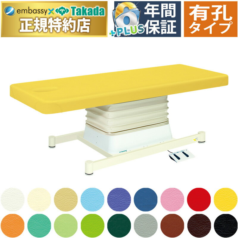 【ポイント6倍】高田ベッド 有孔垂直電動Mタイプ 電動マッサージベッド 整体ベッド 電動ベッド 電動施..