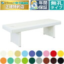 【ポイント6倍】高田ベッド 無孔H型ソックスベッド マッサージベッド 整体ベッド 脚部内脚 診察台 施術台 エステベッド 治療ベッド 施術ベッド 国産 TB-756
