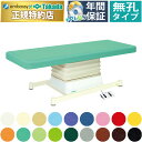 【ポイント6倍】高田ベッド 無孔垂直電動HSタイプ 電動マッサージベッド 整体ベッド 電動ベッド 電動施術台 電動昇降台 昇降式診察台 エステベッド 国産 TB-897