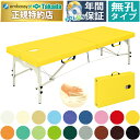【ポイント6倍】高田ベッド 無孔MRセブン 折りたたみベッド 整体ベッド 低反発 整体ベッド折りたたみ エステベッド折りたたみ マッサージベッド 折りたたみ ポータブルベッド 施術台 携帯 持ち運び 診察台 国産 TB-999