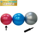 【ポイント6倍】バランスボール(55) TB-1295-01【高田ベッド 運動器具】エアロビクス運動 リハビリ 運動 練習台 姿勢矯正 身体の歪み 筋力保持