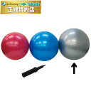 【ポイント6倍】バランスボール(75) TB-1295-03【高田ベッド 運動器具】エアロビクス運動 リハビリ 運動 練習台 姿勢矯正 身体の歪み 筋力保持