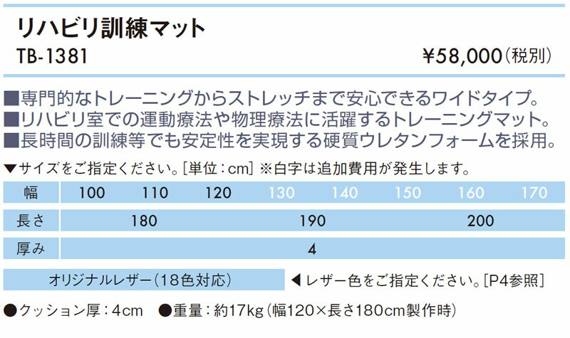 【ポイント6倍】高田ベッド リハビリ訓練マット 訓練マット トレーニングマット リハビリマット ストレッチマット クッションマット 訓練マット 運動療法 施術マット 治療用マット TB-1381 2