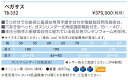 【ポイント6倍】高田ベッド ペガサス 電動昇降ベッド 低反発クッション 整体ベッド カイロベッド カイロプラクティック うつ伏せ アプローチ 治療用 施術用 施術台 マッサージ台 手置き台付き TB-352 2