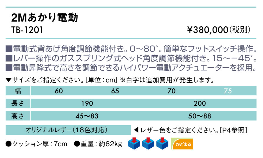 【ポイント6倍】高田ベッド 2Mあかり電動 電動マッサージベッド 整体ベッド 電動昇降式 背もたれ 施術台 診察台 治療用ベッド 医療ベッド カイロベッド アプローチベッド 国産 TB-1201 [2]