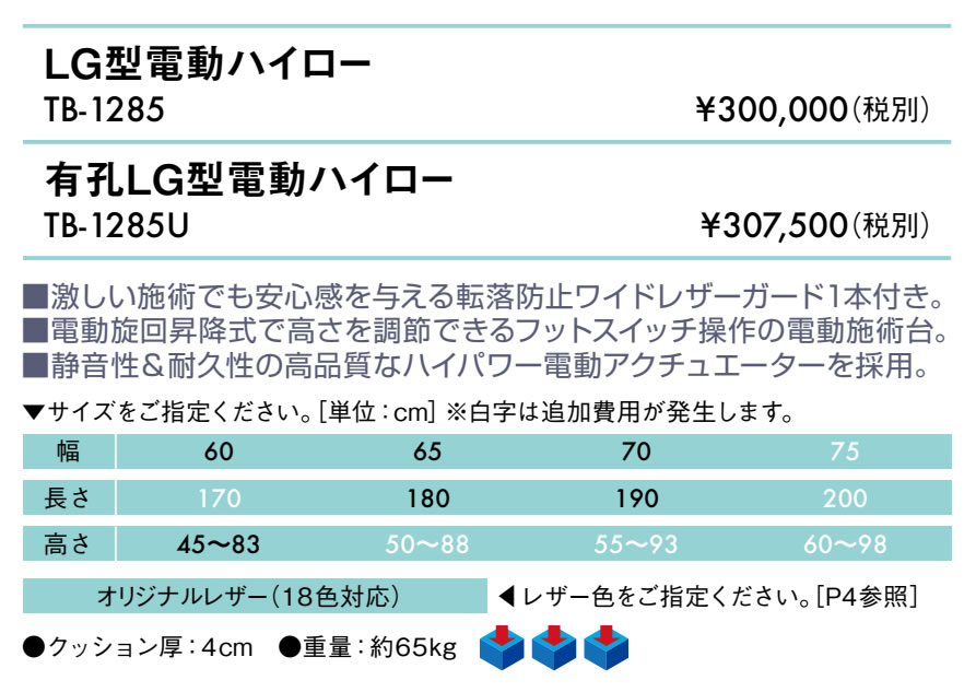 【ポイント6倍】高田ベッド 無孔LG型電動ハイロー 医療施設 電動 昇降 電動マッサージベッド ガード付き 転落防止 電動昇降式 電動施術台 電動昇降台 電動診察台 電動整体ベッド 電動エステベッド 施術用ベッド 治療ベッド 国産 TB-1285