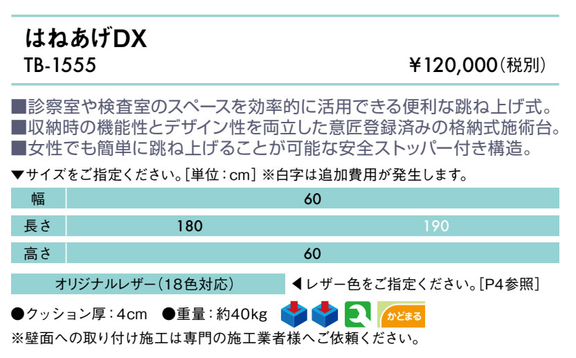 【ポイント6倍】高田ベッド はねあげDX マッサージベッド 省スペース 格納式 検査用 診察台 治療用ベッド 医療用ベッド 壁取付式 国産 TB-1555 [2]