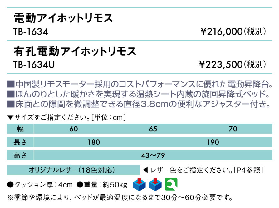 【ポイント6倍】高田ベッド 無孔電動アイホットリモス 温熱シート内蔵 ホットマッ...