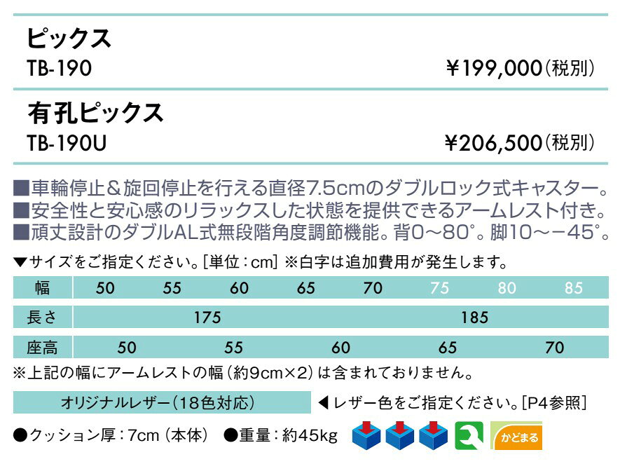 エンバシー 高田ベッド正規特約店の【ポイント6倍】高田ベッド 有孔ピックス マッサージベッド エステベッド フェイシャルベッド キャスター付き 背上げ リクライニング 脚上げ 手置き付き 国産 TB-190U｜アングル2